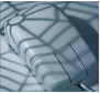Web